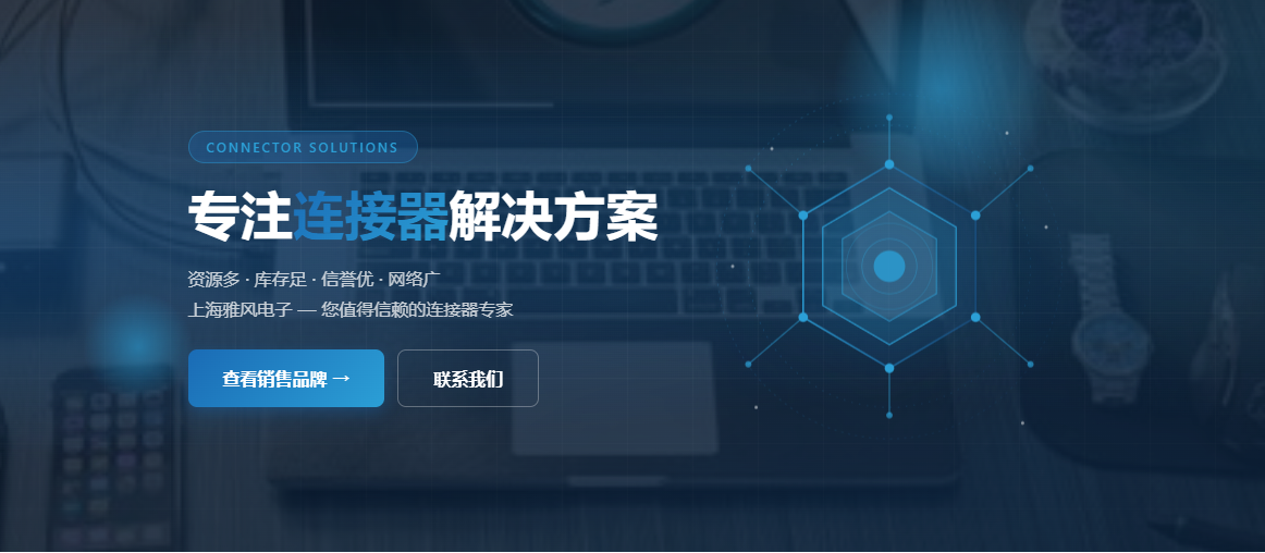 点击访问中文网站
